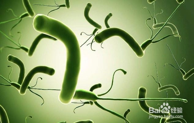 如何预防十二指肠溃疡?