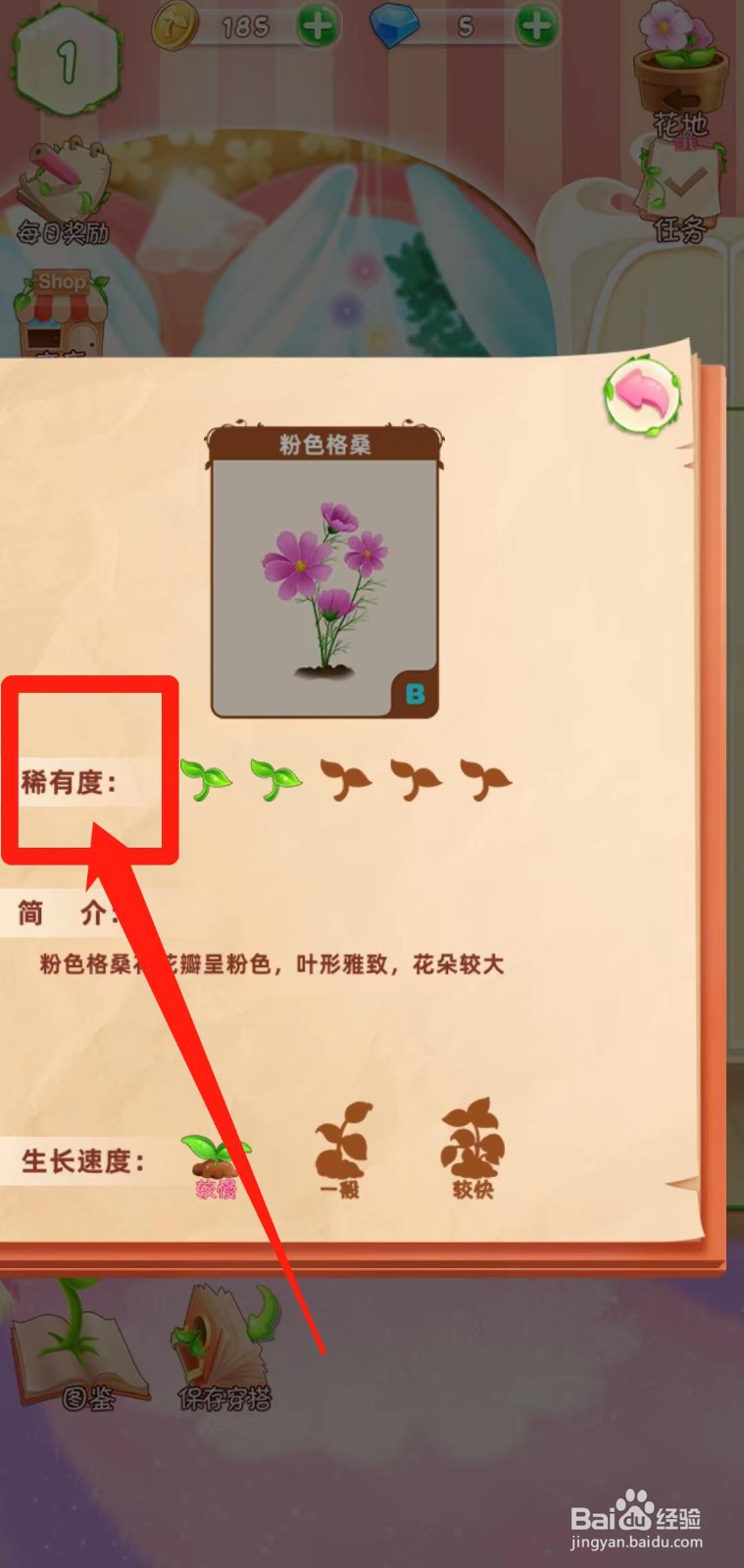 花花姑娘之魔法花园如何查看粉色格桑稀有度
