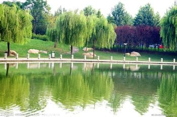 五一想带宝宝出去玩吗?注意事项看这里