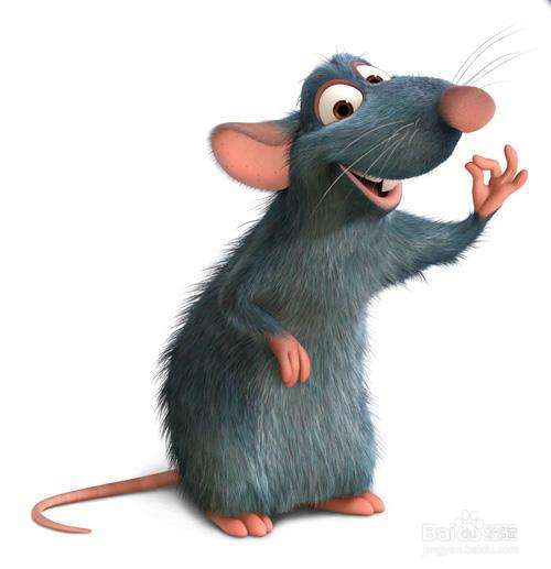 怎么抓老鼠和消灭老鼠