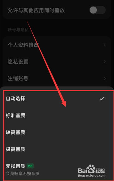 汽水音乐怎么调音效