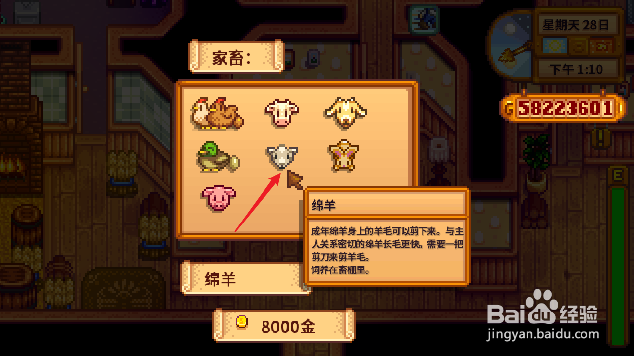 星露谷物语动物毛怎么获得