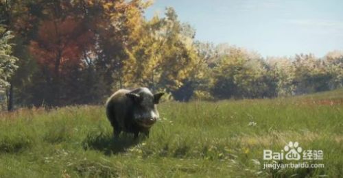 猎人荒野的呼唤攻略 百度经验