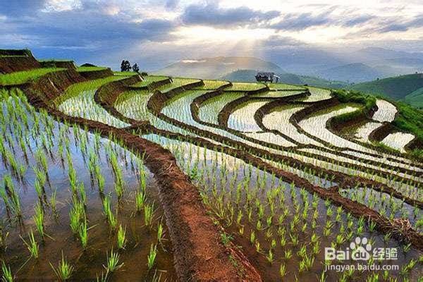 回农村创业，如何能赚到第一桶金