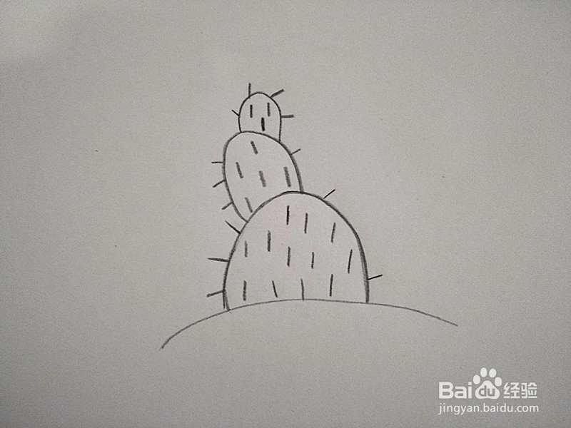 仙人掌简笔画的画法
