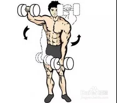 只需一对哑铃,在家锻炼全身肌肉!