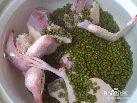 鸽子绿豆汤的做法与功效