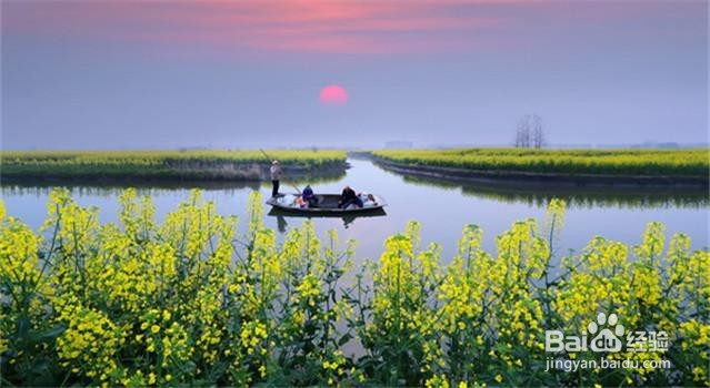 有哪些和清明节有关的诗句？