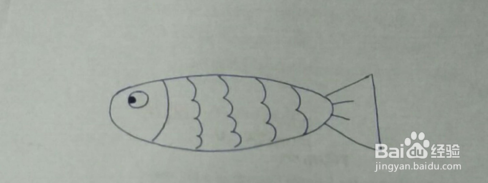 如何画一条鱼?