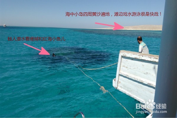 我去埃及了(二)红海出游小贴士及注意事项