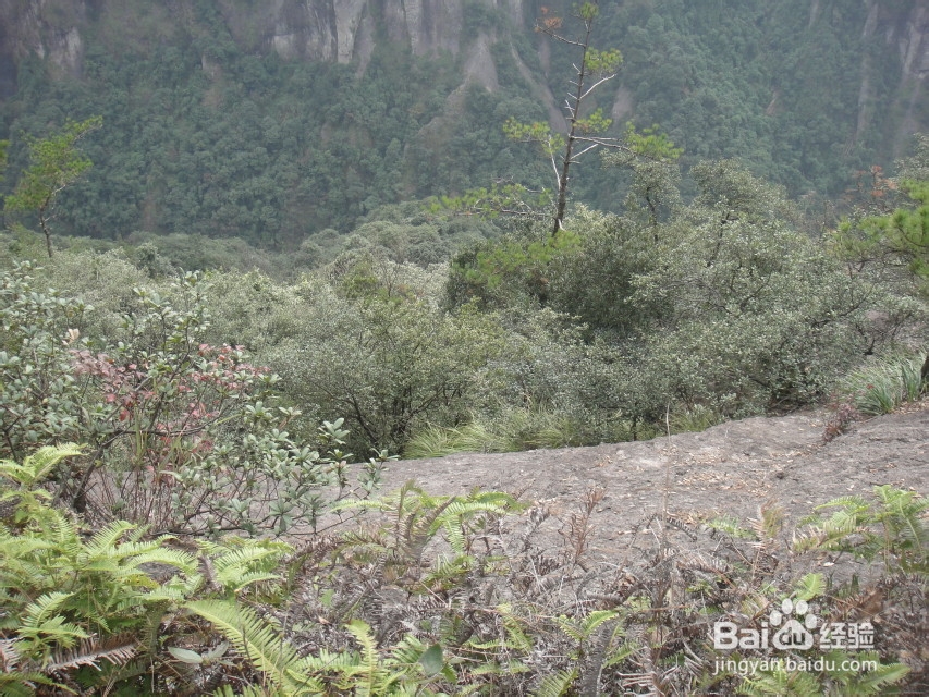 反穿福建福州十八重溪山脊,不一样的味道