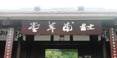 怎样进行成都一日游