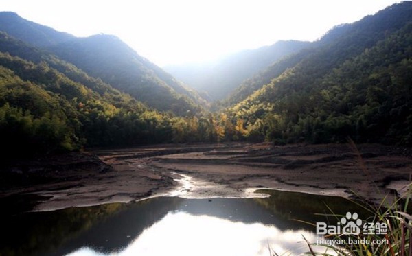 旅游时灌木林穿越知识