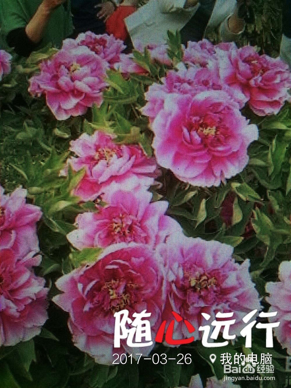 (景山公园)中国旅游001