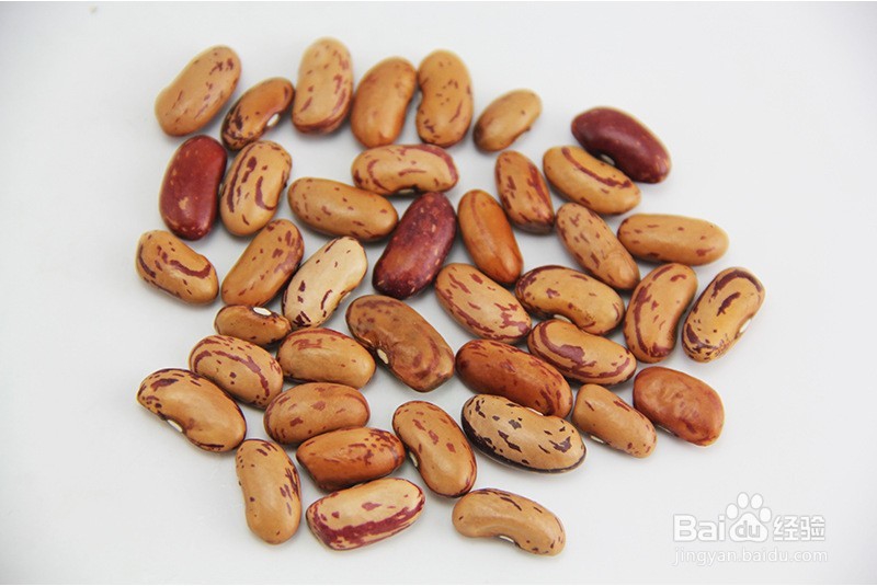 奶花芸豆如何出口