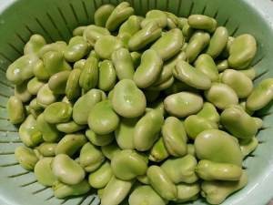 食补养生葱香蚕豆的做法