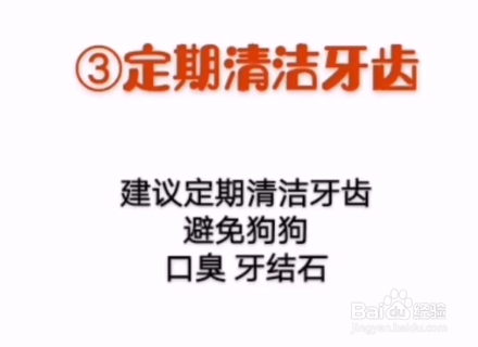 如何让狗狗变得更健康