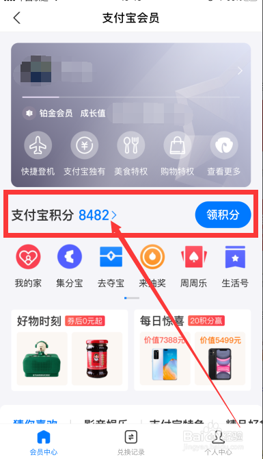 支付宝怎么查询会员积分