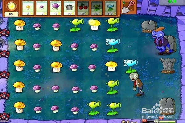 植物大战僵尸通全关的攻略。(十四)