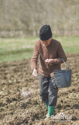 种花生的四个步骤