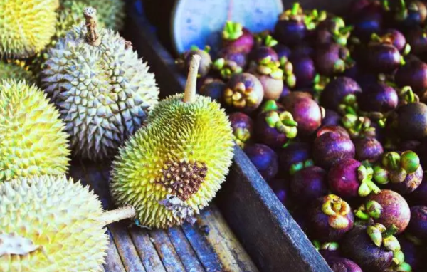 哪两种水果是夫妻果蚂蚁庄园