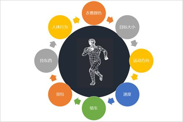character和characteristic有什么区别