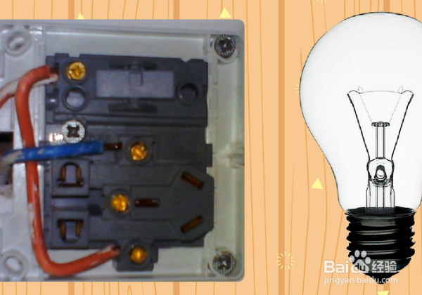 nl哪个是火线哪个是零线