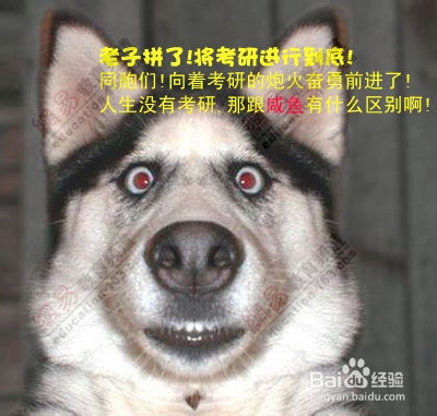 如何将考研进行到底