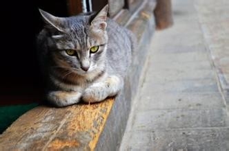 去丽江旅游最惬意的事情