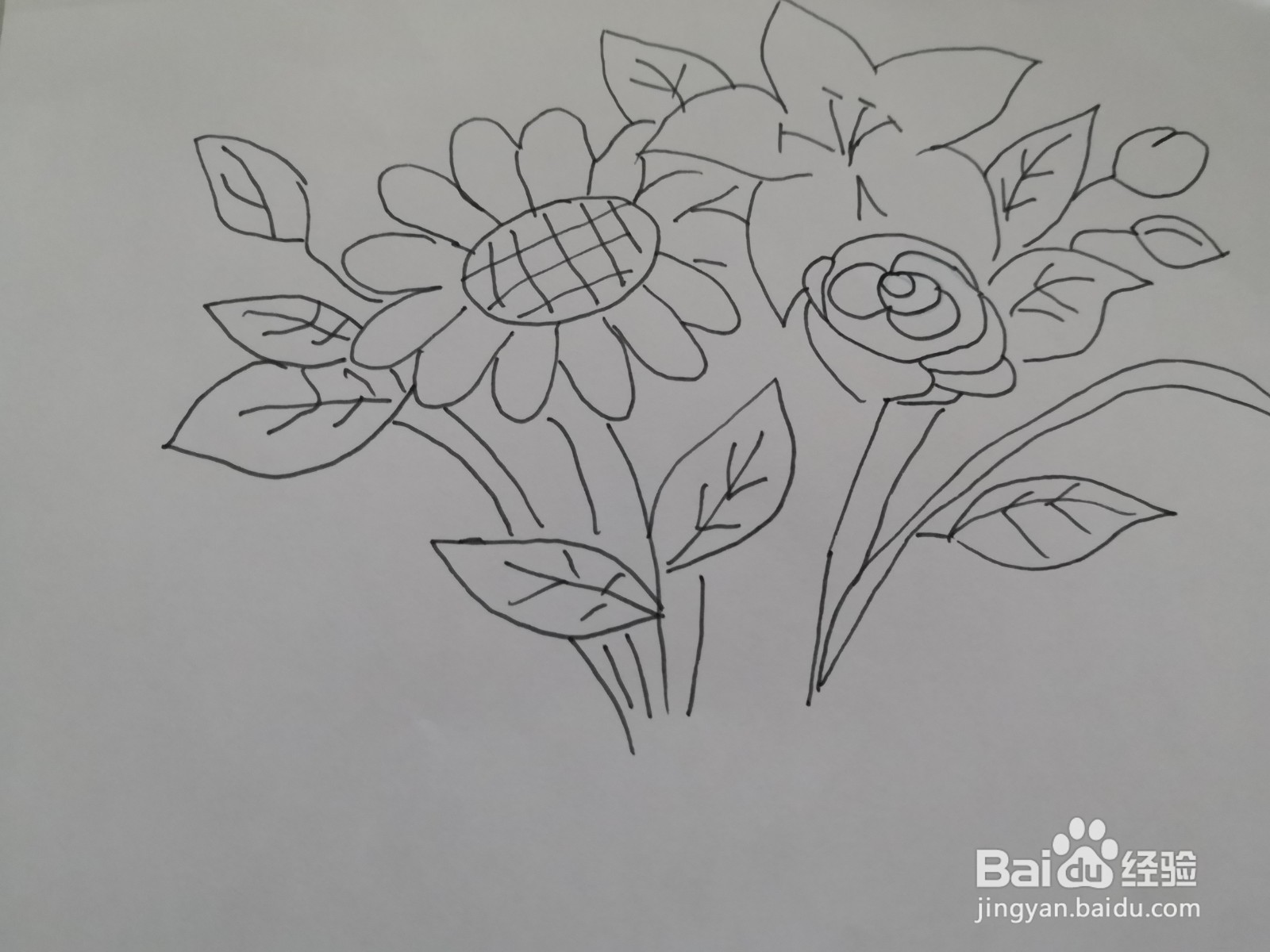 简笔画花朵图片