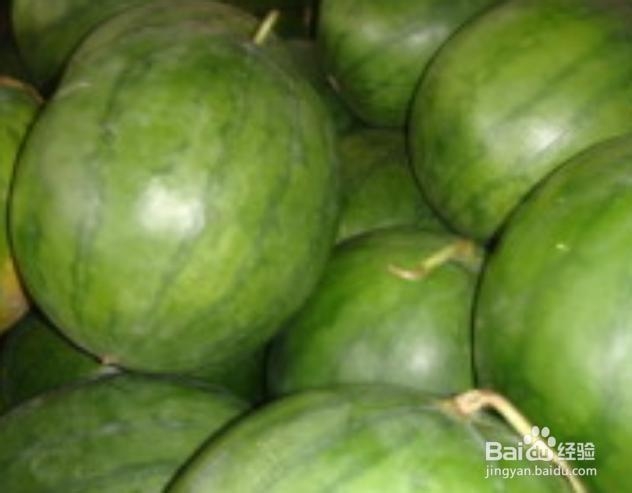 狗狗可以吃西瓜吗？