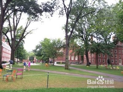 大学自愿退学流程