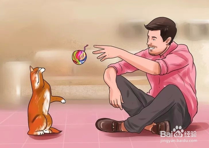 怎样驯服野猫