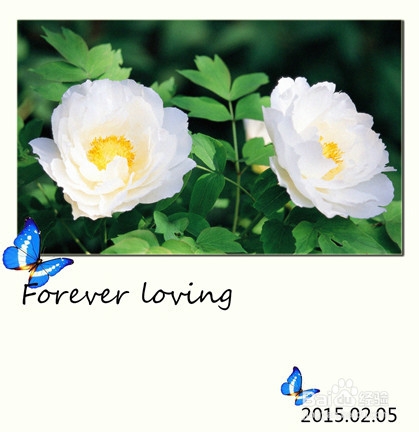 PS--利用“曲线”制作鲜花的文艺照片