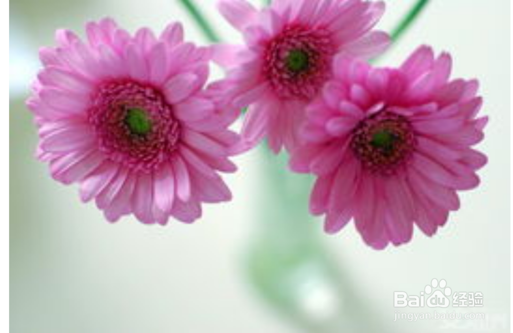 癫痫病患者们在接受治疗期间需要注意什么？