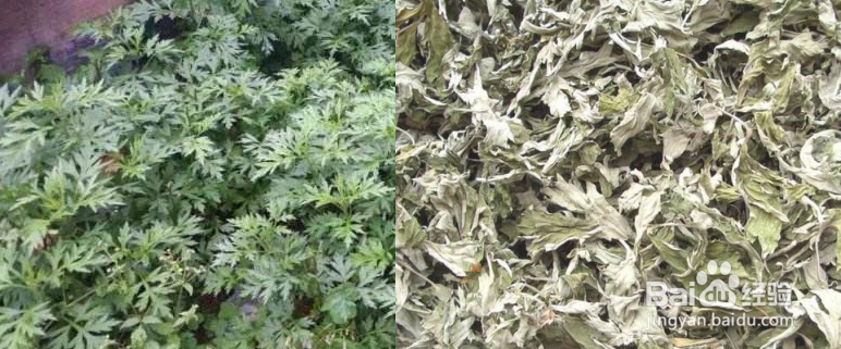 如何洗头发干净些