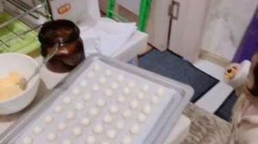 宝宝爱吃的蛋白溶豆（无酸奶版）