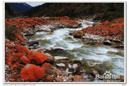 西北户外地接风景区摄影旅游 西北户外川西藏游