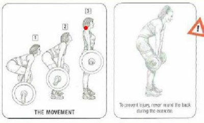 增肌速成：[6]如何锻炼背部肌肉