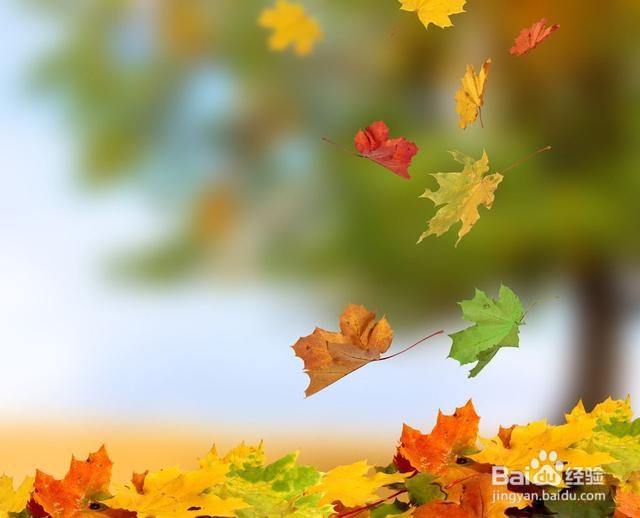 对比一下:痔疮用什么药最有效?