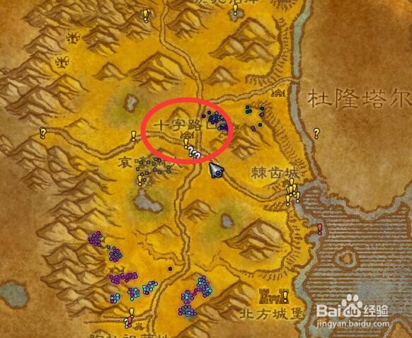 魔兽世界(怀旧服攻略)斑马的威胁任务在哪