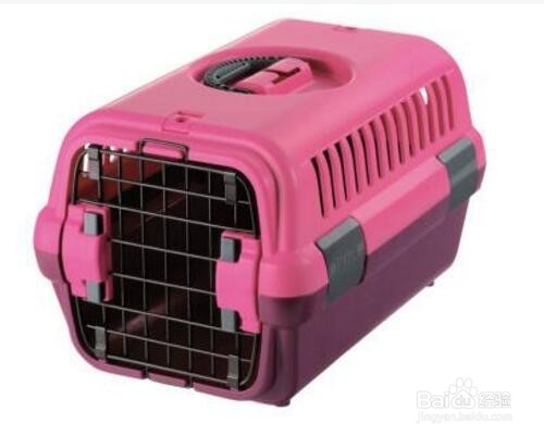 宠物猫如何托运