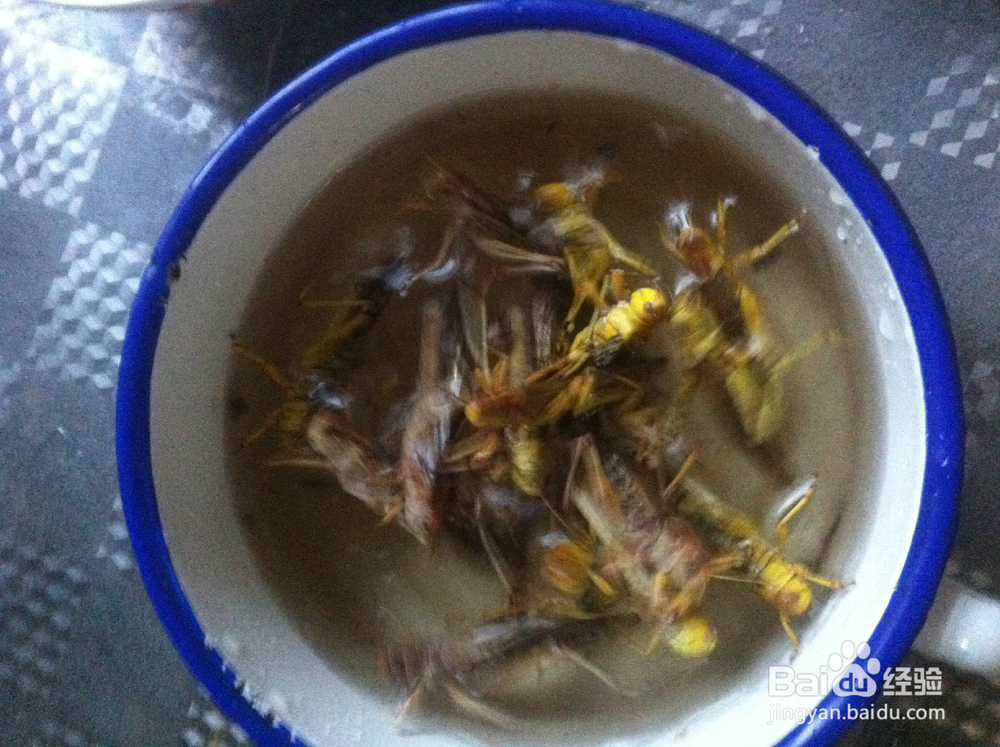 鲜美油炸蚂蚱的做法