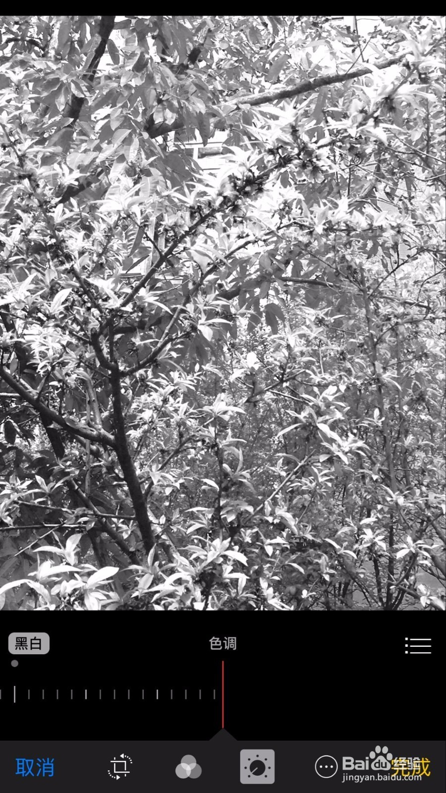 苹果手机把照片变成黑白艺术照的5个方法
