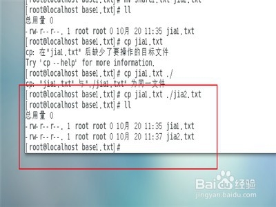centos怎么利用shell扩展管理文件