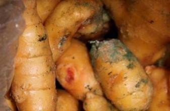 生活中常吃的八种蔬菜有毒，知道是哪些?