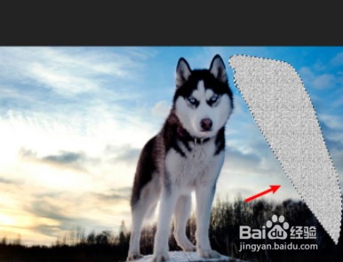 Ps怎么局部填充