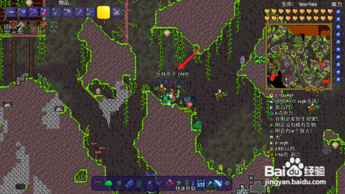 泰拉瑞亚荆棘鞭攻略