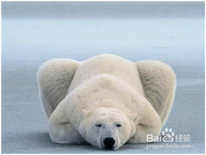 哪些人适合玩世纪云交易平台