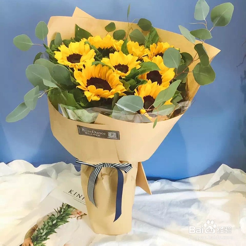 向日葵和太阳花到家后应该如何处理?